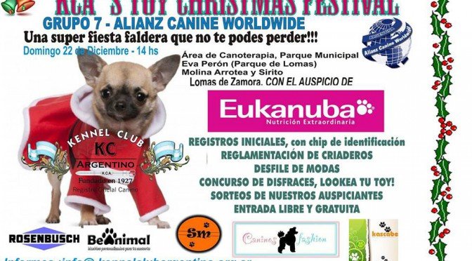 Imagen destacada del artículo «Encuentro Razas toy»